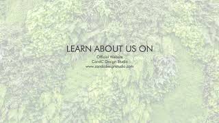 CandC Design Studio - Brief Introduction about us