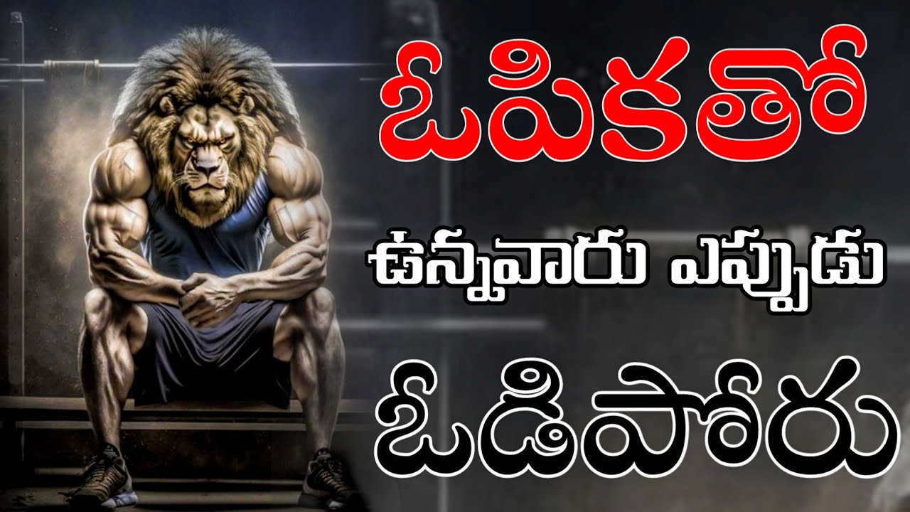 Million Dollar Words 