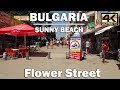 A Walk through Flower Street Day time Sunny Beach Bulgaria