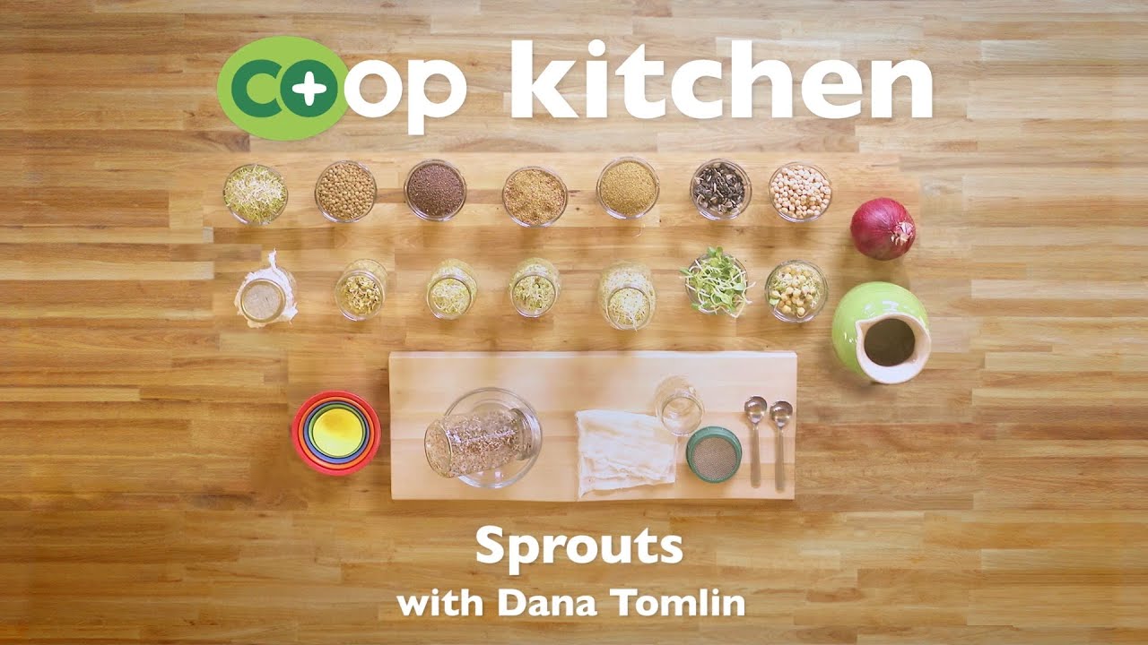 Sprouts Co+op Kitchen YouTube