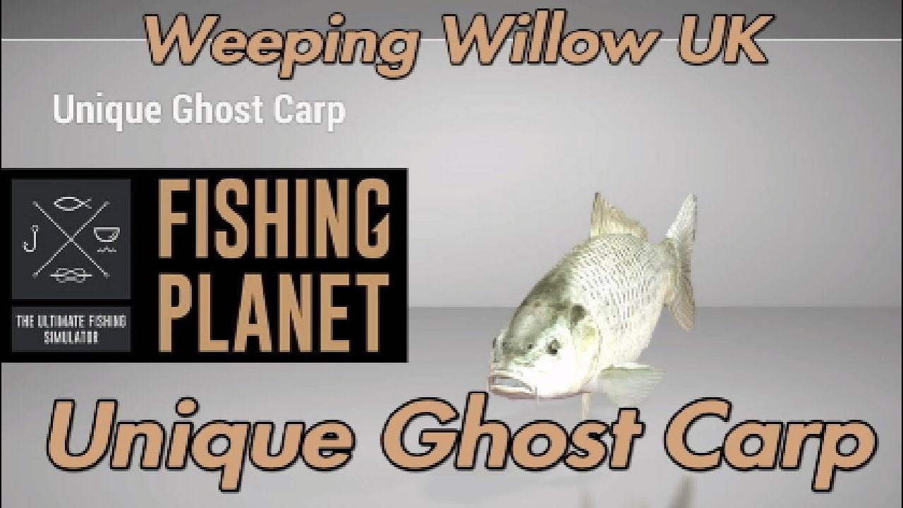 Unique Ghost Carp - Weeping Willow UK - Fishing Planet Guide 