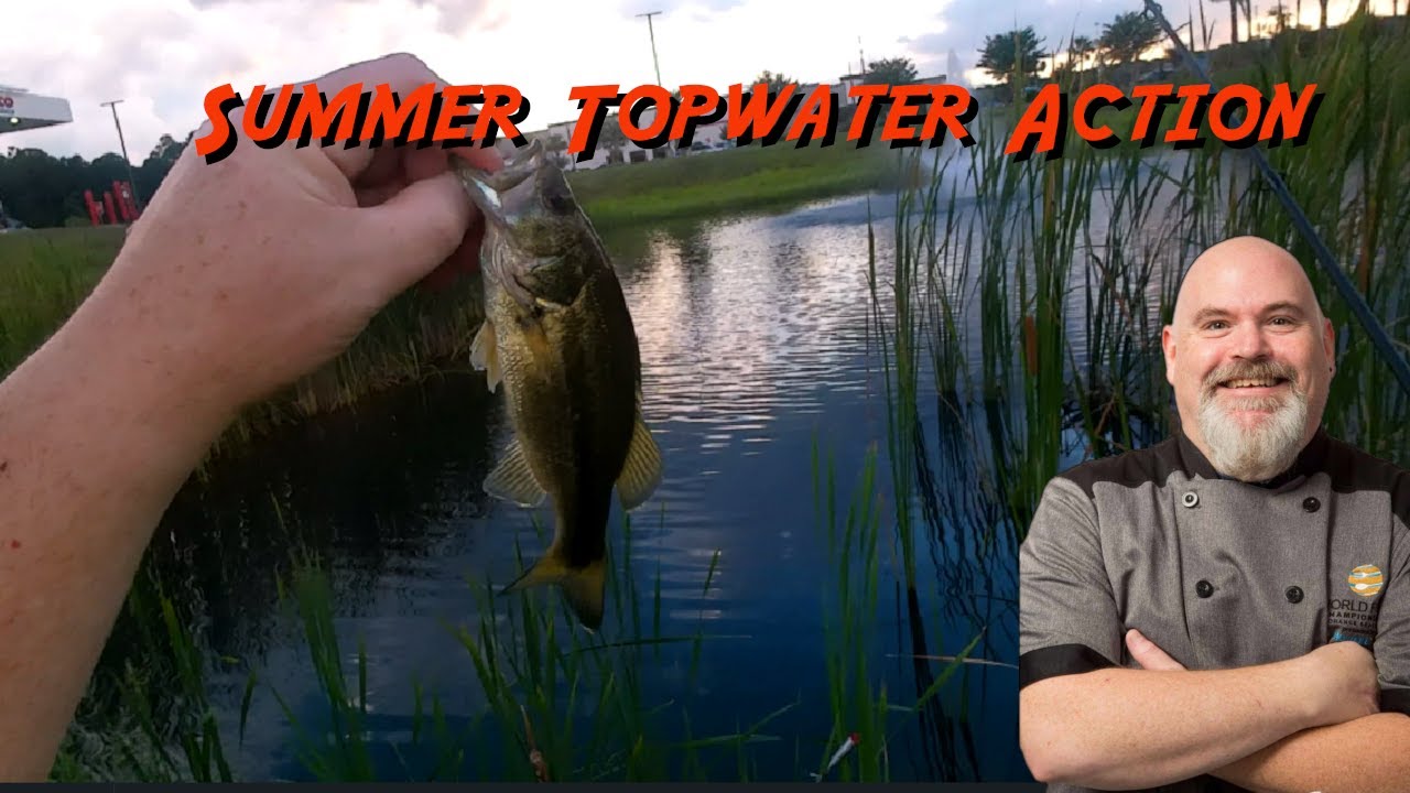 Delta Safari: Summer Topwater Action | Largemouth Bass | Jitterbug | Popper | Pond