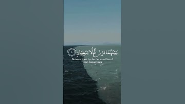 مَرَجَ الْبَحْرَيْنِ يَلْتَقِيَانِ 🌿حالات واتس قرآن كريم بصوت جميل جدا Quran Status ⚘️ ♥️