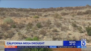 California farmers hit again with water cuts