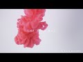 She's So Bad - Steve Kolander (Official Lyrics Video)