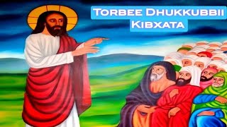 Torbee #Dukkubbii #Guyyaa #Kibxata B/saa D/n Bahaaruu nugusee
