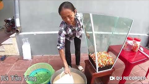 Bà Tân Vlog - Làm Cốc Trà Sữa Khổng Lồ 60 Lít Ăn Mừng 500.000 Subscribe