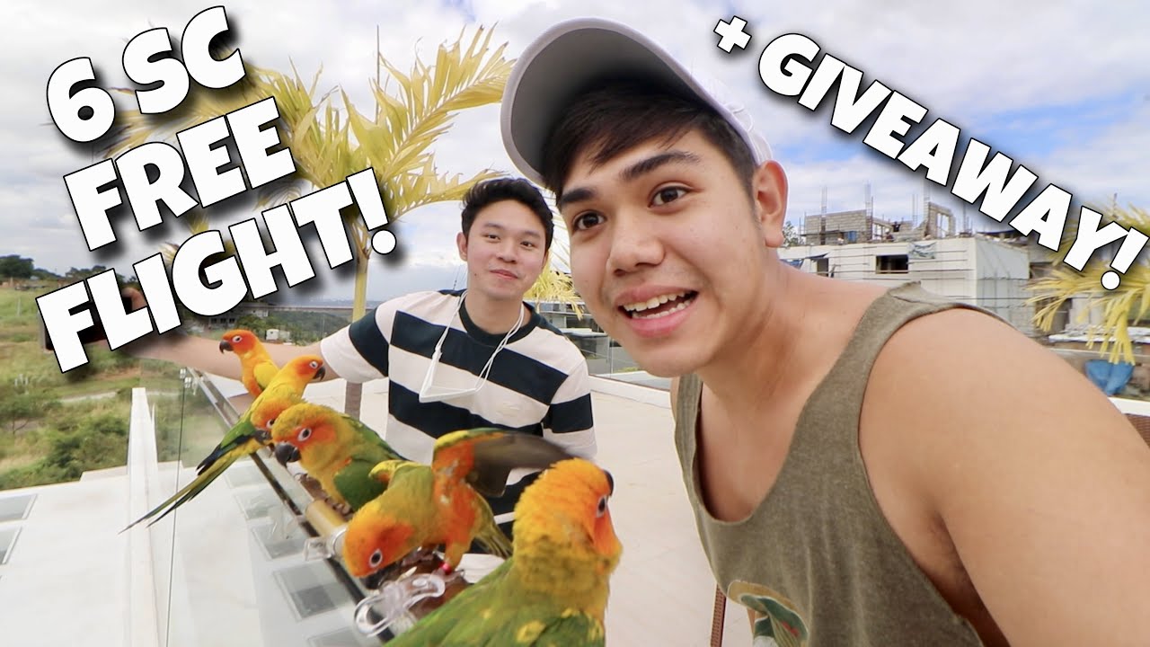 6 SUN CONURE NAGFREE FLIGHT! Collab with @angmckelly ang daming ibon dito! (PARROT!) | Murillo Bros