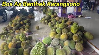Terbaru ❗Stok durian lokal trenggalek di kampung durian karangsono