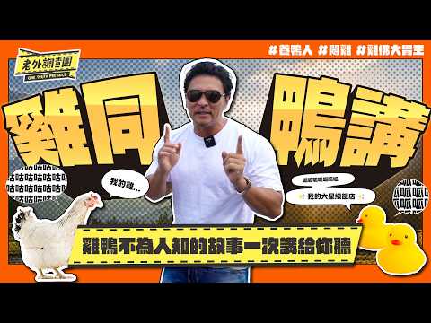 鴨子住得比人好竟然有自己專屬的六星級飯店、目睹閹雞全程老外崩潰喊：好痛！老外挑戰吃滿滿一鍋雞睪丸瘋狂乾嘔！這些雞跟鴨不為人知的小故事老外一次講給你聽！【老外調查團】