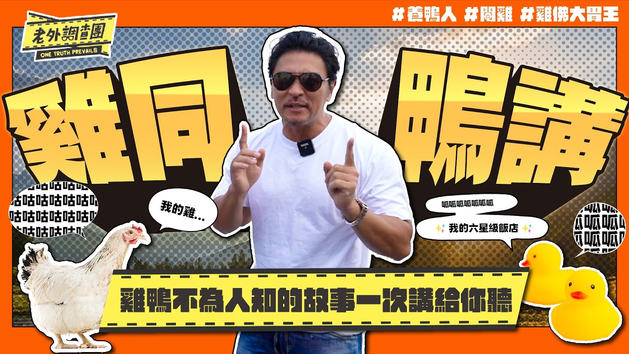 鴨子住得比人好竟然有自己專屬的六星級飯店、目睹閹雞全程老外崩潰喊：好痛！老外挑戰吃滿滿一鍋雞睪丸瘋狂乾嘔！這些雞跟鴨不為人知的小故事老外一次講給你聽！【老外調查團】