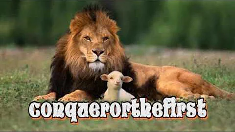 Ziggy Marley ( 2017 ♫HD VIDEO ♫ ) Dragonfly