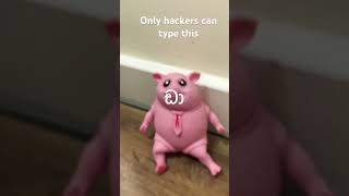 Only hackers can type this #piggy #funny #memes #pig #piggie #fyp#comedy #viral