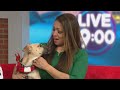 Pet of the Week: The SPCA presents Dogs 2nd Chance Tennessee, Adopt a Dog