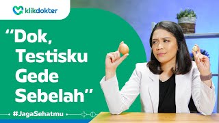 Bahaya Gak Sih Punya Testis Besar Sebelah?