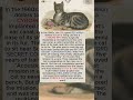 The CIA Spent $20M on a SPY CAT! 🐈🎙️