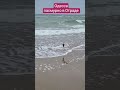 Одесса. Пасмурно в Отраде #odessa #море #sea #beach #отдых #пляж  #ukraine