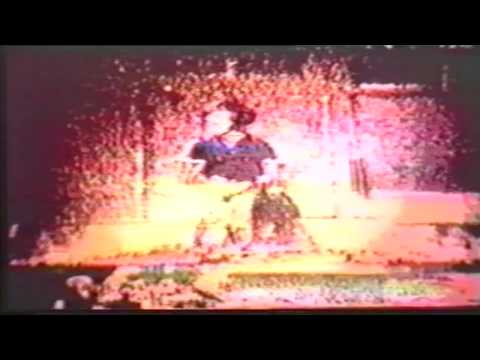 Vox Celeste - Deerhunter
