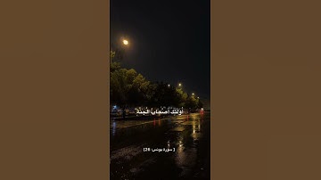 تلاوة هادئة 🤍 #القرآن #فلسطين #allah #غزة #الله #غزه #قدس #راحة_نفسية #هدوء #الصلاة_على_النبي 🌱🤍