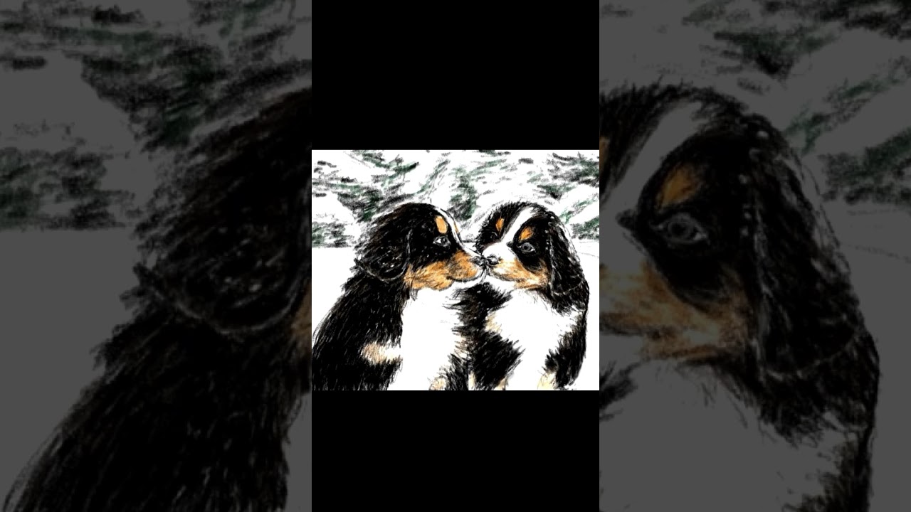 Bernese Mountain Puppies - POP ART Sketch