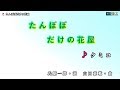 《新曲》クミコ【たんぽぽだけの花屋】カラオケ