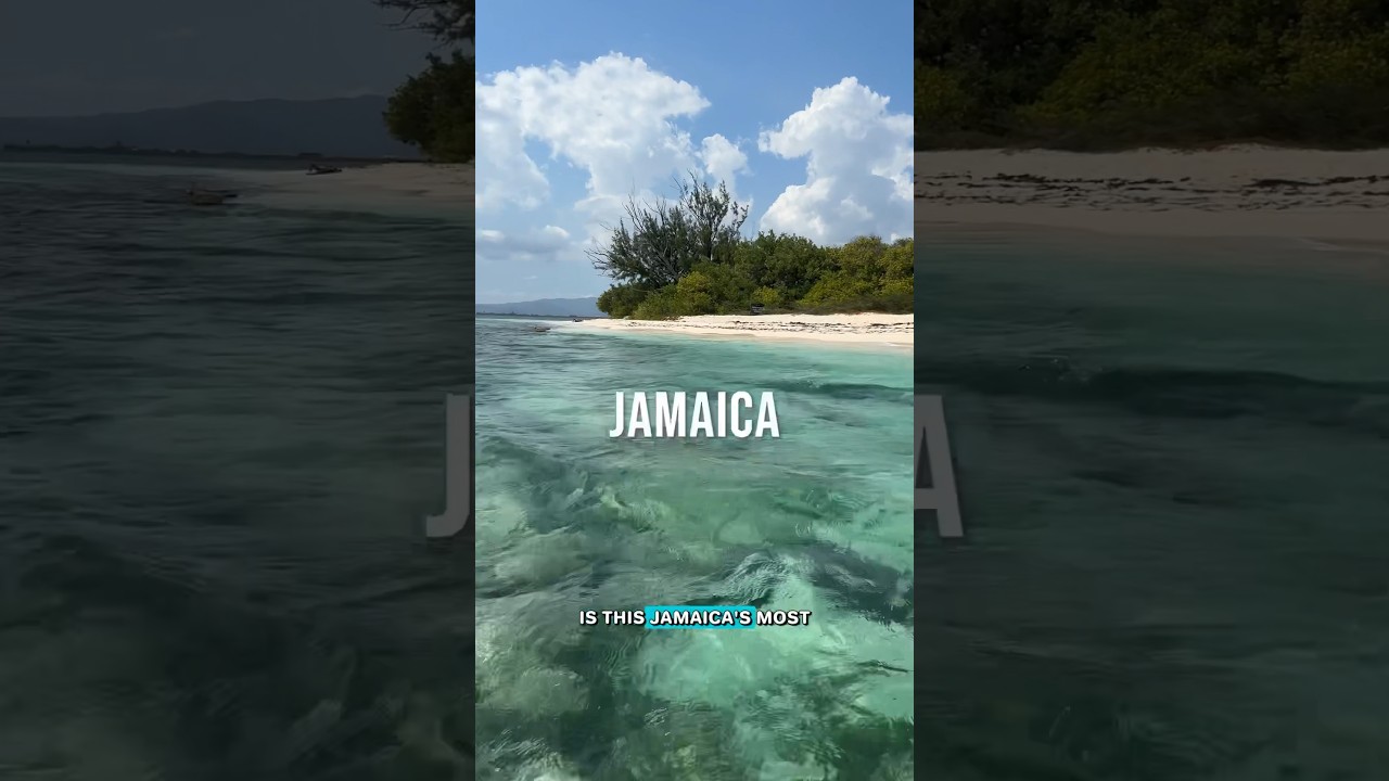 What do you think about this UNIQUE EXPERIENCE in Kingston, Jamaica? | Lime Cay