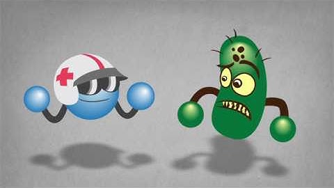 What is the Immune System?