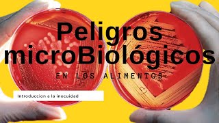 💥 Peligros MICROBIOLÓGICOS en la industria alimentaria - inocuidad alimentaria #5