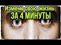 Лучшая Мотивация: НОВАЯ ЖИЗНЬ ЗА 4 МИН (2021)ОЧЕНЬ ВАЖНЫЙ МОТИВАЦИЯ ЭТО СМОТРЕТЬ ВСЕМ