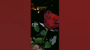 تصاميم حالات واتس اغاني نغمات دقات 