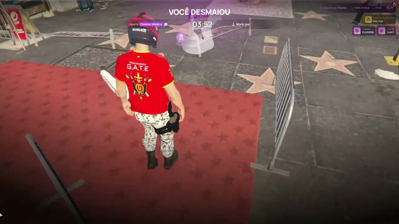 Atropelou e tentou saquear id29058