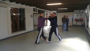 Push Hands walking non fixed step with Lao Shi Damon Bramich