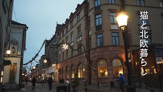 北欧暮らし🌿学校帰りに市場でお買い物 / スウェーデンの素敵な文房具屋さん / 北欧の冬支度 / 海外生活vlog