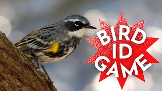 Guess the Bird | Multiple Choice Quiz *With Bird Songs*