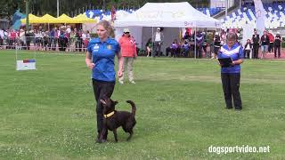 Finals  Maria Danielsson + Aussie Action's Red Turning Tina / Australian Kelpie  Sweden