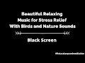 Beautiful Relaxing Music for Stress Relief With Birds and Nature Sounds in background very Calming
