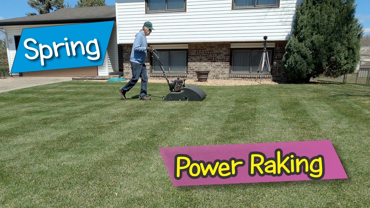Spring Power Raking: How to Set Scarifier Height to Remove Dead Grass ...
