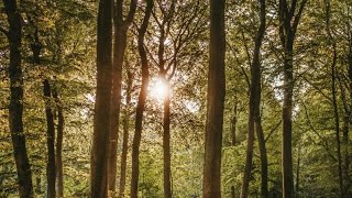 Zombie Says Noah deserved to be eliminated in Total Drama World Tour/Sent to the Forest