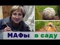 Малые архитектурные формы, мафы для сада, дизайн малых архитектурных форм