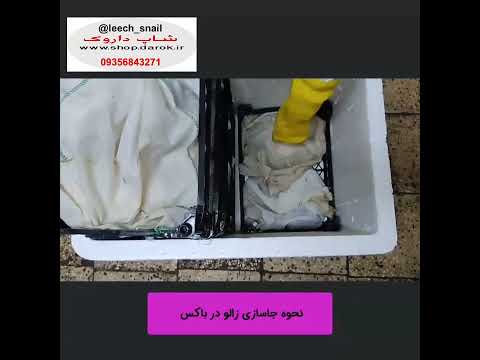 جاسازی زالو