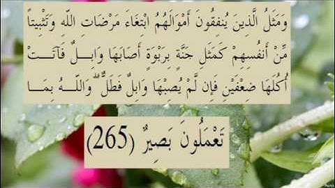 القران الكريم سورة البقرة الاية 265