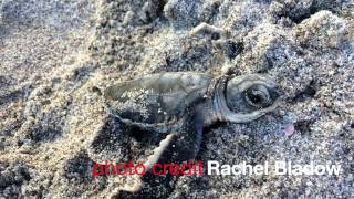 FAU CES Student Spotlight: Geosciences Julie Cisneros