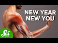 How Much of Your Body Is New Every Year? | Compilation