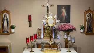 LIVE Eucharistic Adoration - Sisters of Divine Mercy