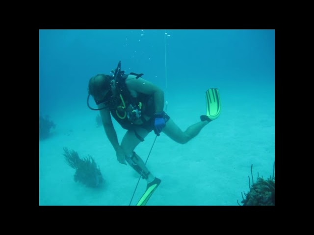 Lionfish Spearing with a Spear Gun in Cuba!!