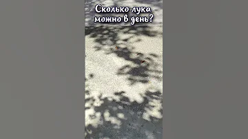 Сколько лука можно съесть за день?