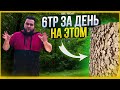 МОЙ БИЗНЕС НА ДЕРЕВЕ/КАК СДЕЛАТЬ 3Д ПАННО ИЗ МОЖЖЕВЕЛЬНИКА