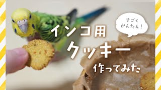 材料2つだけの簡単レシピ！】インコ用のクッキーを作って食べさせてみ