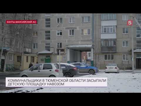 Коммунальщики засыпали детскую площадку навозом