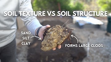 Comparing Soil Structure vs Soil Texture (Fixing Heavy Clay Garden Soil)